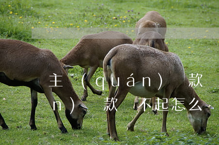 主權(quán)貸款還不起(主權(quán)貸款還不起怎么辦)