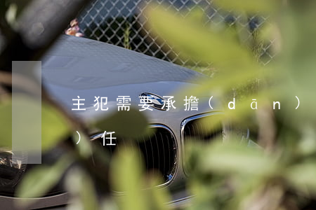 主犯需要承擔(dān)什么法律責(zé)任