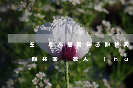 主貸款人信用卡逾期共同還款人 主貸款人逾期共同還款人會(huì)上征信嗎