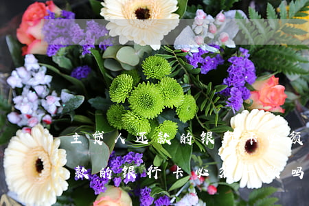 主贷人还款的银行卡必须一致吗-主贷人还款的银行卡必须一致吗怎么办