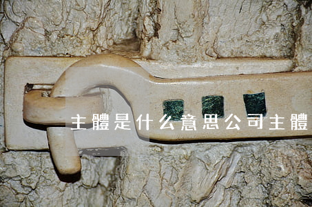 主體是什么意思(公司主體是什么意思)