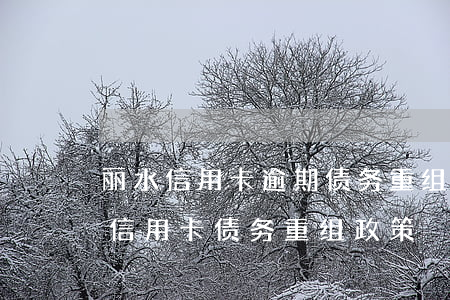 丽水信用卡逾期债务重组怎么协商-各银行信用卡债务重组政策