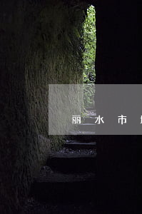 丽水市城市养犬管理规定最新【全文】