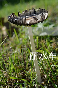丽水车贷逾期律师答疑解惑 车贷逾期被起诉