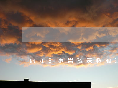 丽江3岁男孩获救(丽江被抱走男孩获救)