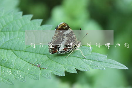 丽江企业债务纠纷律师(丽江催债公司)