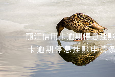 丽江信用卡逾期停息挂账申请条件(丽江信用卡逾期停息挂账申请条件)