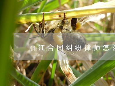 丽江合同纠纷律师怎么收费