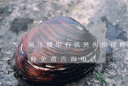 丽江哪里有债务纠纷律师在线咨询-丽江律师免费咨询电话