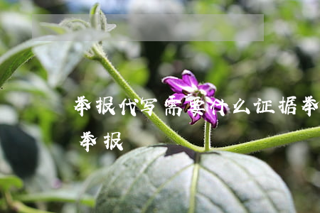 举报代写需要什么证据(举报代写公司去哪里举报)