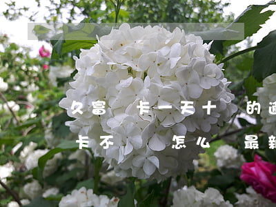 久富萬卡一天十幾的逾期費合理嗎-久富萬卡不還會怎么樣最新2020年的