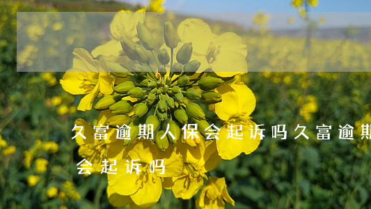久富逾期人保会起诉吗(久富逾期被代尝人保会起诉吗)