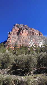 久融金融逾期催收方式(速貸金融逾期)