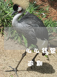 么么钱包发信息说逾期(钱包金融发信息说我逾期)