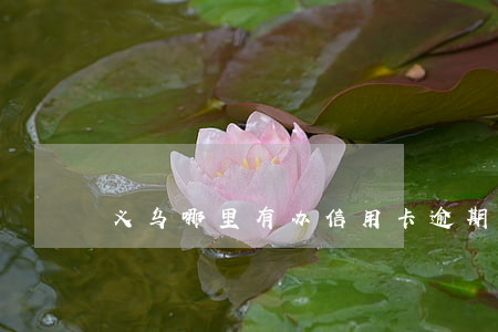 义乌哪里有办信用卡逾期的
