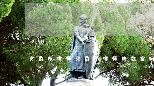 义乌市律师(义乌市律师协会官网)