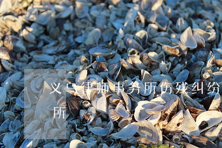 义乌律师事务所伤残纠纷(义乌工伤律师事务所)