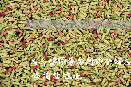 义乌律师事务所哪个好(义乌律师事务所免费咨询处地址)