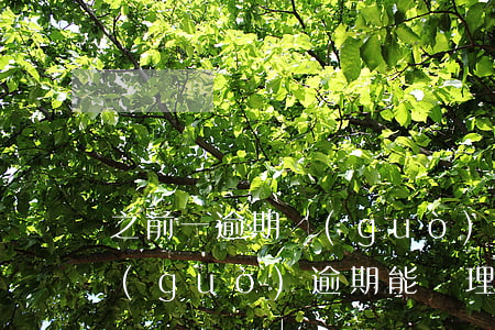 之前一逾期過(guò)能辦信用卡嗎(有過(guò)逾期能辦理信用卡嗎)