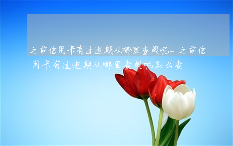 之前信用卡有过逾期从哪里查阅呢-之前信用卡有过逾期从哪里查阅呢怎么查