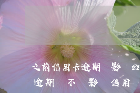 之前信用卡逾期會影響公積金辦理-公積金逾期會不會影響信用記錄