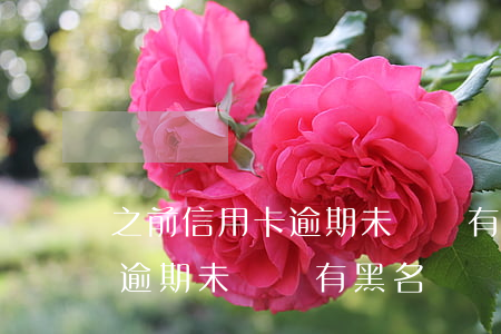 之前信用卡逾期未還會有黑名單(之前信用卡逾期未還會有黑名單嗎)