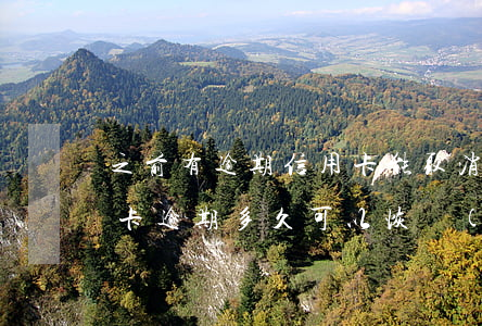 之前有逾期信用卡能取消征信嗎(之前有信用卡逾期多久可以恢復(fù)征信)