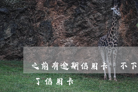 之前有逾期信用卡辦不下來(征信有逾期辦不了信用卡)