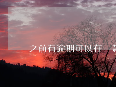 之前有逾期可以在貸款么(有逾期可以貸款嗎?)
