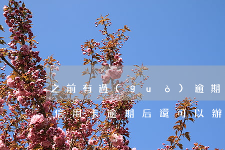 之前有過(guò)逾期能不能辦信用卡-信用卡逾期后還可以辦信用卡嗎