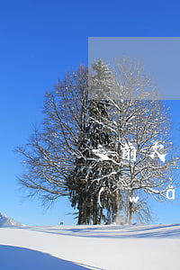 之前欠了網(wǎng)貸還能借嗎(欠了網(wǎng)貸還能借錢嗎)