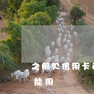 之前欠信用卡已還清(之前欠信用卡已還清還能用嗎)