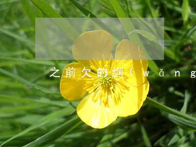 之前欠的網(wǎng)貸怎么還