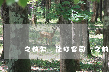 之前欠錢能打官司嗎 之前欠錢能打官司嗎