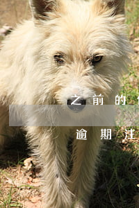 之前的信用卡逾期注销了还能申请吗（信用卡逾期注销的影响）