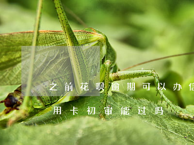 之前花呗逾期可以办信用卡吗（花呗逾期办信用卡初审能过吗）
