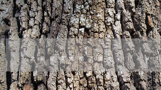 之前花唄逾期了現(xiàn)在只有70額度-之前花唄逾期了現(xiàn)在只有70額度了