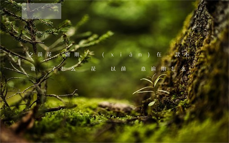 之前花唄逾期了現(xiàn)在貸款不給我貸了怎么辦（花唄以前惡意逾期怎么辦）