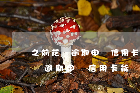 之前花唄逾期申請信用卡能辦上嗎-之前花唄逾期申請信用卡能辦上嗎安全嗎