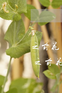 之前花唄逾期過(guò)還能辦信用卡嗎 之前花唄逾期過(guò)還能辦信用卡嗎