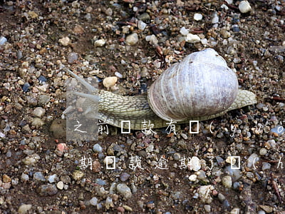 之前貸款有過(guò)嚴(yán)重逾期(貸款逾期了會(huì)怎樣)