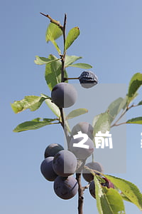之前貸款逾期啦-之前貸款有逾期還能貸款嗎