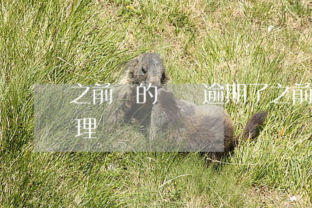 之前貸的網貸逾期了(之前有網貸逾期怎么處理)