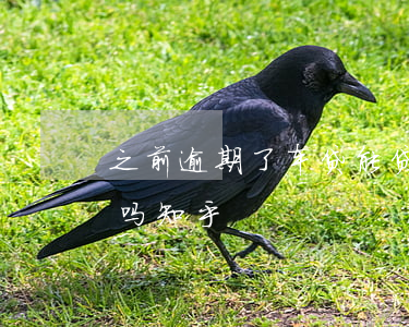 之前逾期了车贷能贷吗(之前逾期了车贷能贷吗知乎)
