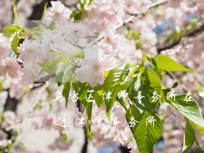 乌当区律师事务所在哪位置(乌当区新添寨附近律师事务所)