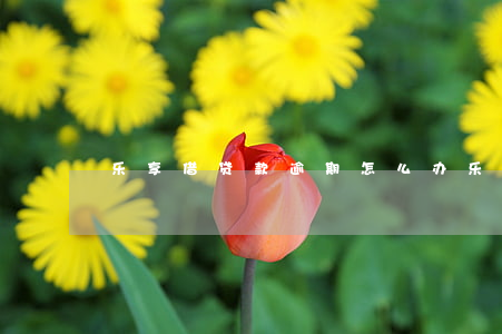 乐享借贷款逾期怎么办(乐享贷利息)