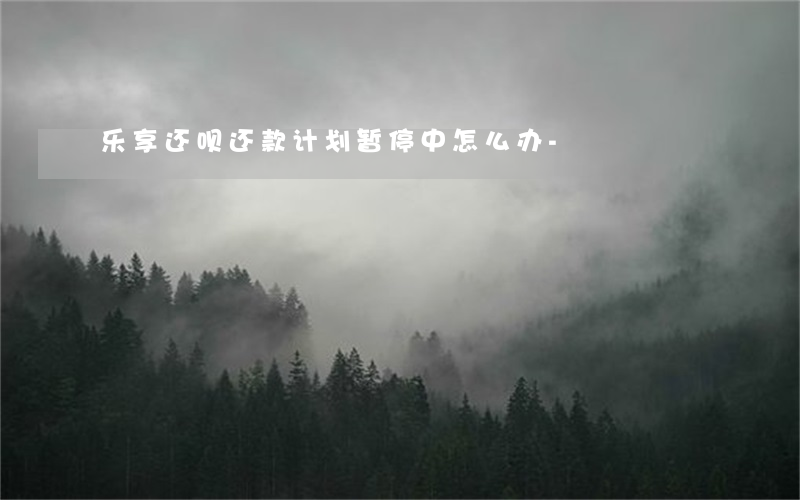 乐享还呗还款计划暂停中怎么办-