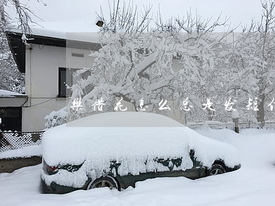 乐借花怎么总是发短信提示你还款