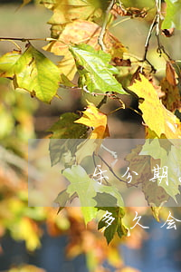 乐分期2020逾期会被起诉吗(分期乐逾期多久会被起诉吗?真还不上怎么办)