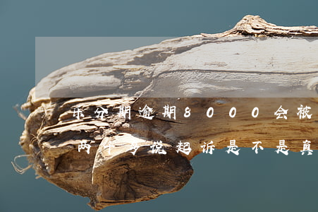 乐分期逾期8000会被起诉吗(分期乐逾期两千多说起诉是不是真的)
